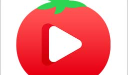 番茄视频下载,轻松获取海量精彩内容